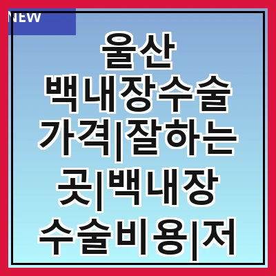 울산 백내장수술 가격|잘하는곳|백내장 수술비용|저렴한 곳|싼곳|싸게 하는곳