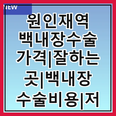 원인재역 백내장수술 가격|잘하는곳|백내장 수술비용|저렴한 곳|싼곳|싸게 하는곳