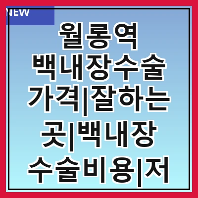 월롱역 백내장수술 가격|잘하는곳|백내장 수술비용|저렴한 곳|싼곳|싸게 하는곳