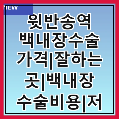 윗반송역 백내장수술 가격|잘하는곳|백내장 수술비용|저렴한 곳|싼곳|싸게 하는곳