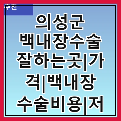 의성군 백내장수술 잘하는곳|가격|백내장 수술비용|저렴한 곳|싼곳|싸게 하는곳