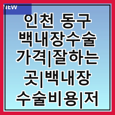 인천 동구 백내장수술 가격|잘하는곳|백내장 수술비용|저렴한 곳|싼곳|싸게 하는곳