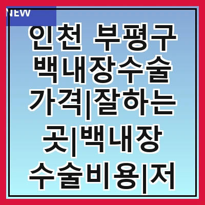 인천 부평구 백내장수술 가격|잘하는곳|백내장 수술비용|저렴한 곳|싼곳|싸게 하는곳