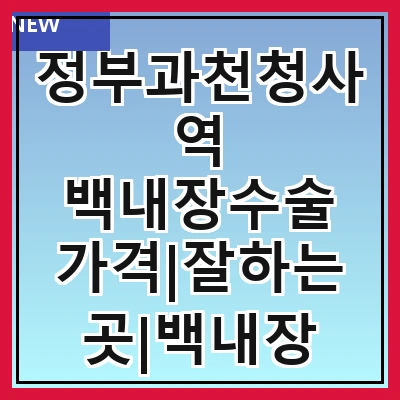 정부과천청사역 백내장수술 가격|잘하는곳|백내장 수술비용|저렴한 곳|싼곳|싸게 하는곳
