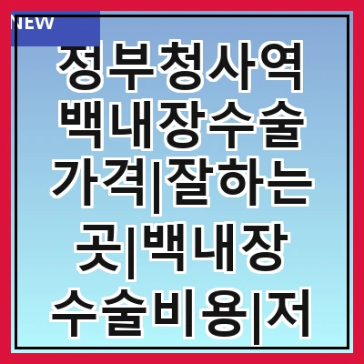 정부청사역 백내장수술 가격|잘하는곳|백내장 수술비용|저렴한 곳|싼곳|싸게 하는곳