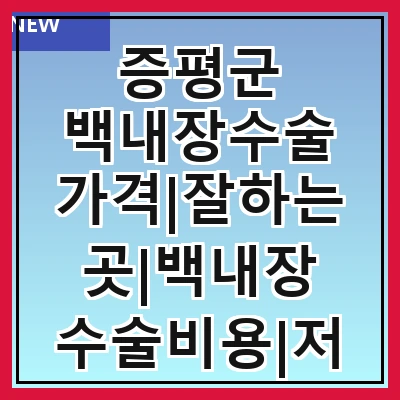 증평군 백내장수술 가격|잘하는곳|백내장 수술비용|저렴한 곳|싼곳|싸게 하는곳