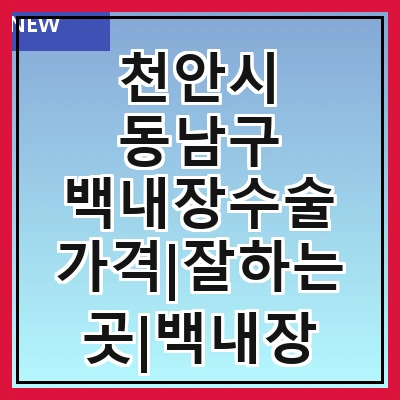 천안시 동남구 백내장수술 가격|잘하는곳|백내장 수술비용|저렴한 곳|싼곳|싸게 하는곳
