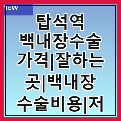 탑석역 백내장수술 가격|잘하는곳|백내장 수술비용|저렴한 곳|싼곳|싸게 하는곳