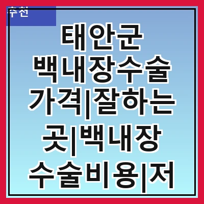 태안군 백내장수술 가격|잘하는곳|백내장 수술비용|저렴한 곳|싼곳|싸게 하는곳