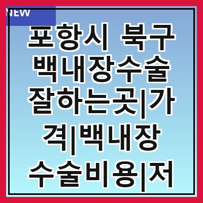포항시 북구 백내장수술 잘하는곳|가격|백내장 수술비용|저렴한 곳|싼곳|싸게 하는곳