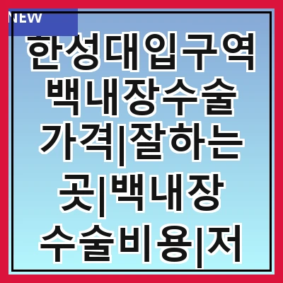 한성대입구역 백내장수술 가격|잘하는곳|백내장 수술비용|저렴한 곳|싼곳|싸게 하는곳