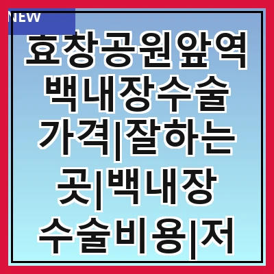 효창공원앞역 백내장수술 가격|잘하는곳|백내장 수술비용|저렴한 곳|싼곳|싸게 하는곳